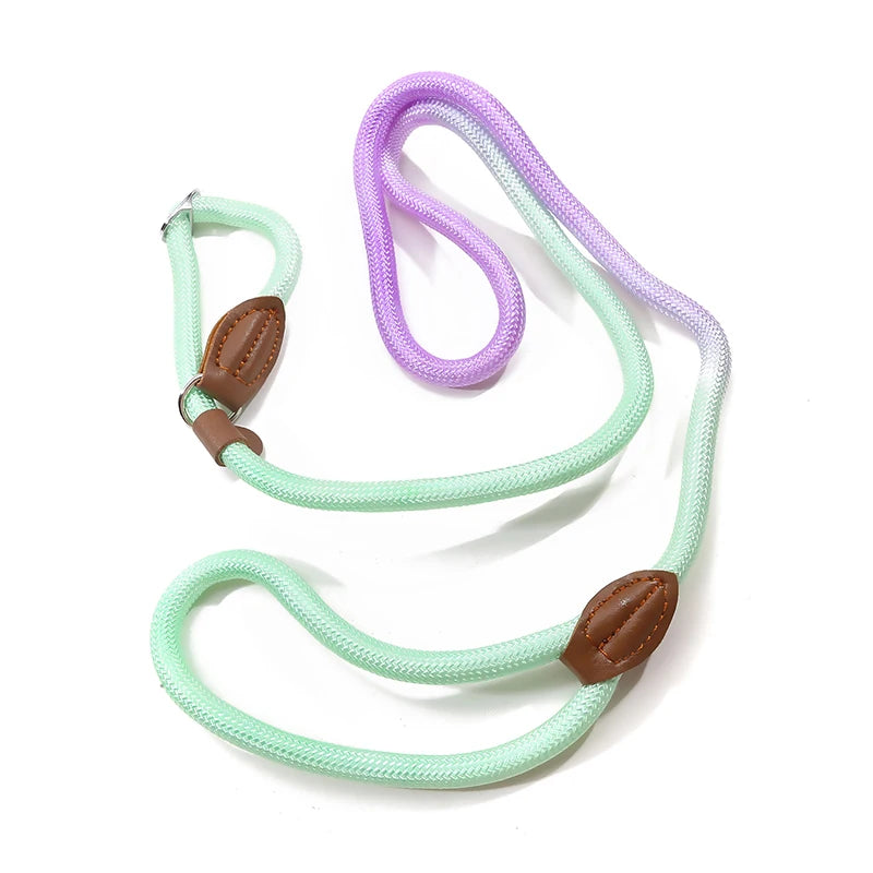 Automatic Retractable Dog Leash — 3 m / 5 m / 5 m Plus / 8 m (One-Touch Brake, Padded Grip)