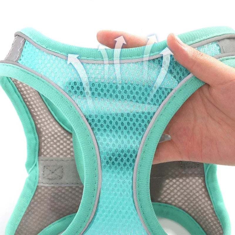 Mesh Vest Dog Harness — Reflective, Quick-Release (Small Dog Vest Harness)