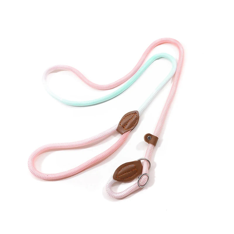 Automatic Retractable Dog Leash — 3 m / 5 m / 5 m Plus / 8 m (One-Touch Brake, Padded Grip)