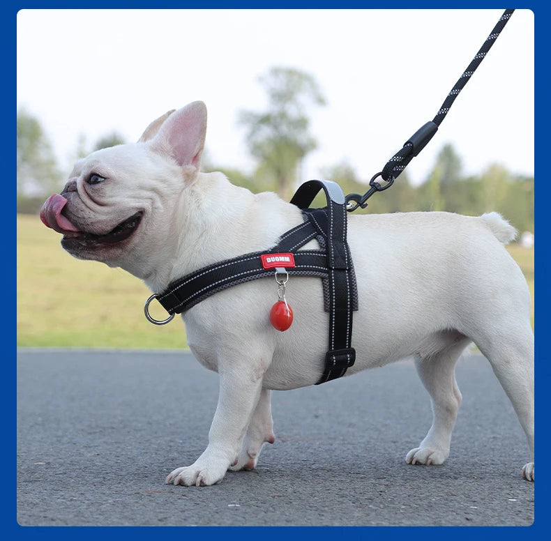 CDDMPET Saddle-Style Dog Harness — Padded, Reflective, No-Pull (S/M/L/XL)