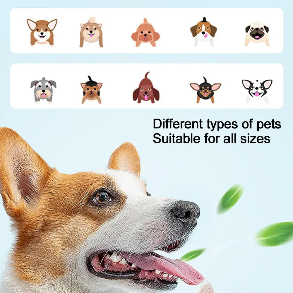 Triple-Head Pet Toothbrush — Plastic + Nylon, Soft Bristles