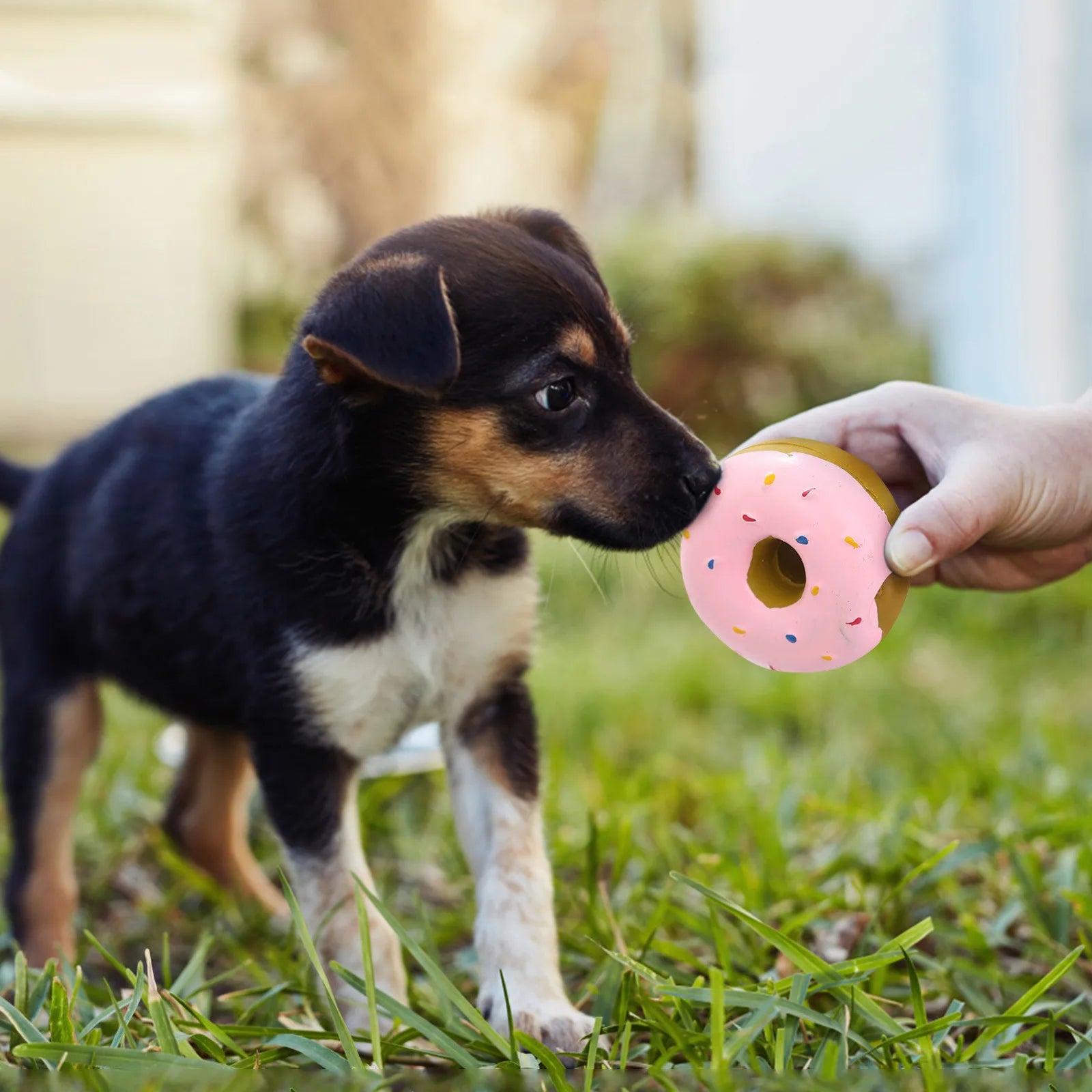 Durable Donut Dog Toy — Grinding & Cleaning Relief