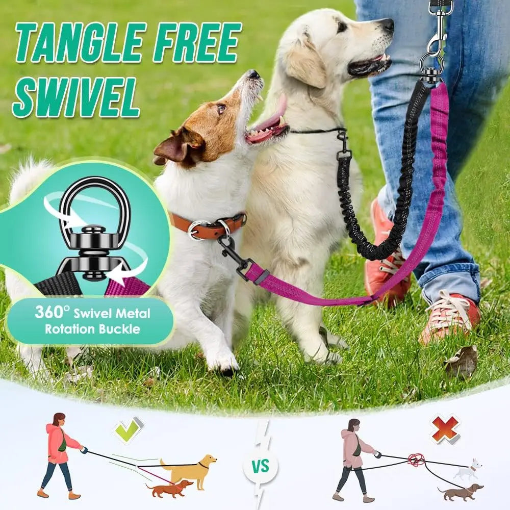 GOYN Double Dog Leash — Two-Dog Splitter Lead (Striped Nylon, Buckle Clip)